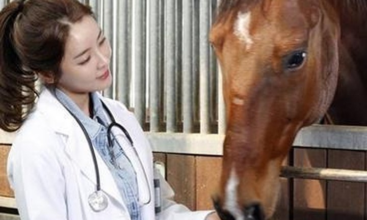 Veterinary and farm consultation